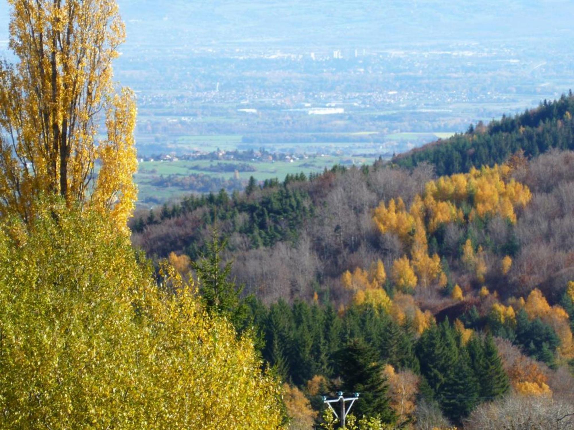 Charmant Gite Avec Terrasse, Cheminee Et Jardin, A Proximite Des Bois, Animaux Acceptes - Fr-1-496-205 Saint-Jean-Soleymieux Kültér fotó
