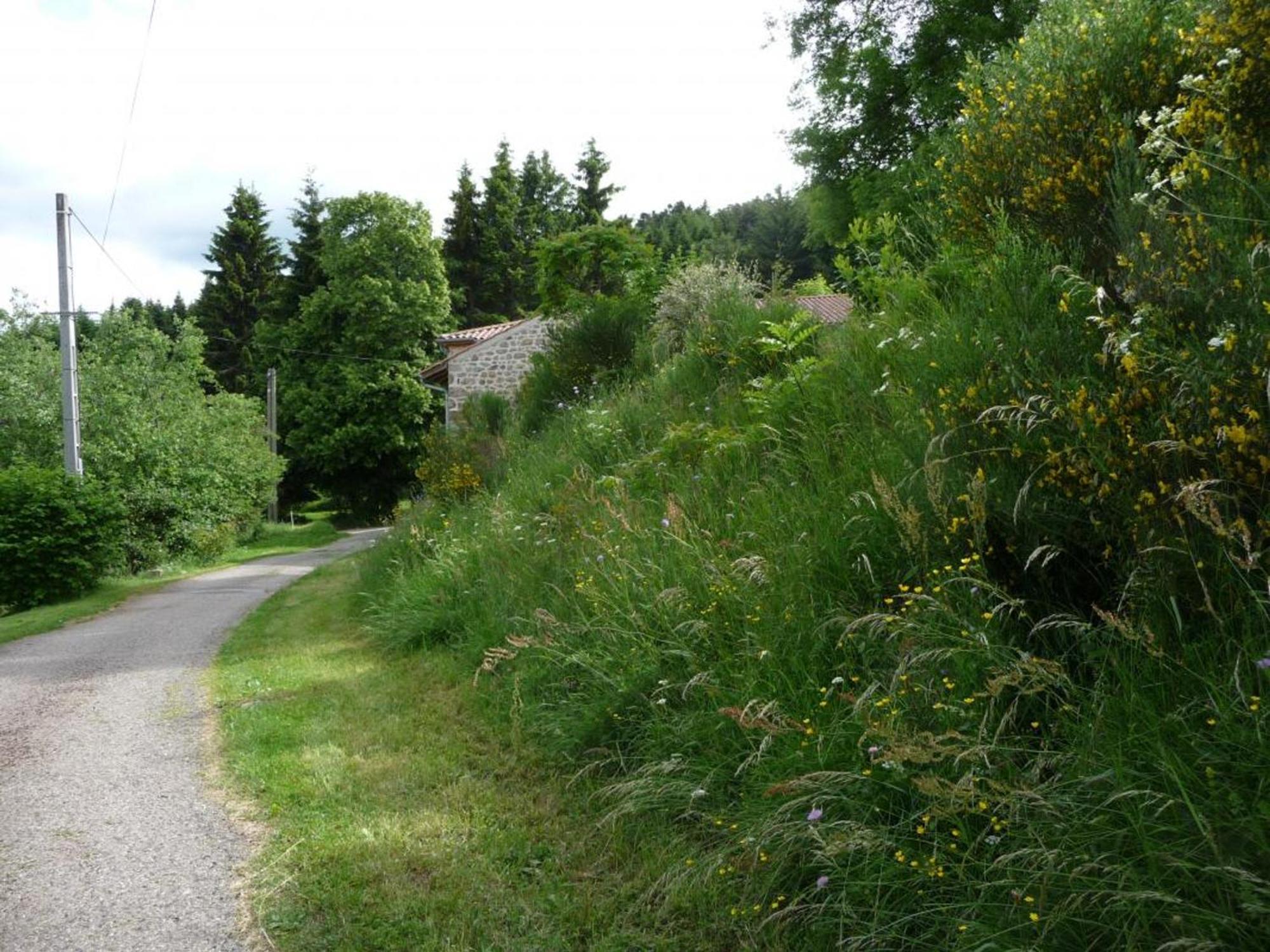 Charmant Gite Avec Terrasse, Cheminee Et Jardin, A Proximite Des Bois, Animaux Acceptes - Fr-1-496-205 Saint-Jean-Soleymieux Kültér fotó